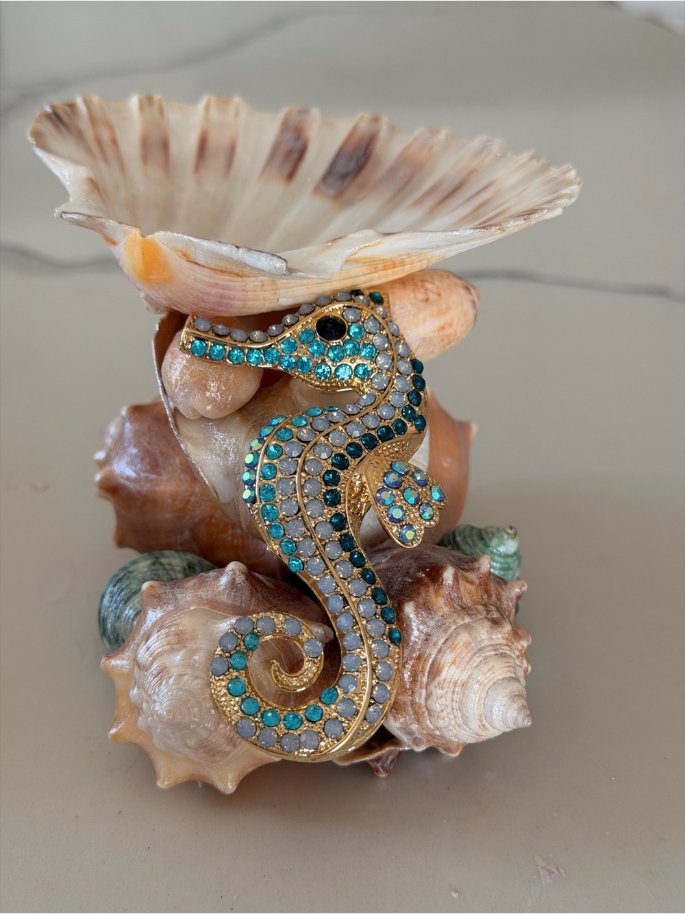 Seashell Decorative Accent Bowl - Natural Brown and Cream